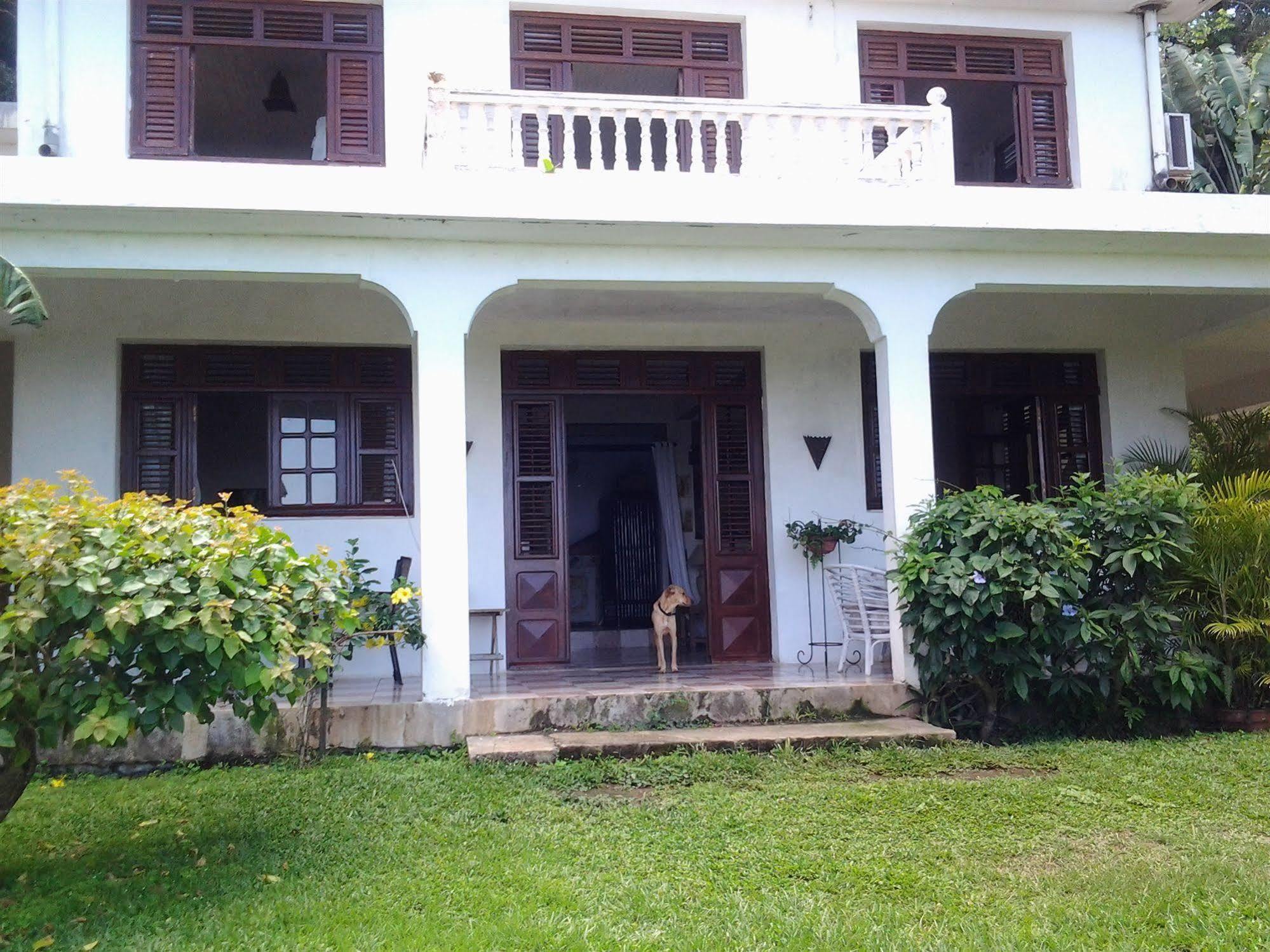 Villa Galerie Les Anses-d'Arlet Exterior foto